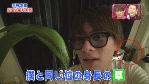 【画像】平祐奈と平野紫耀の匂わせ15選！現在も交際中で結婚間近？