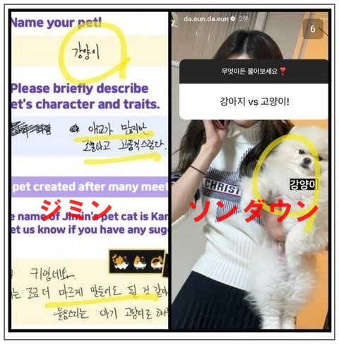 【画像＆動画】ソンダウンとジミンの匂わせ20選！交際はいつから？