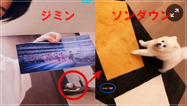 【画像＆動画】ソンダウンとジミンの匂わせ20選！交際はいつから？